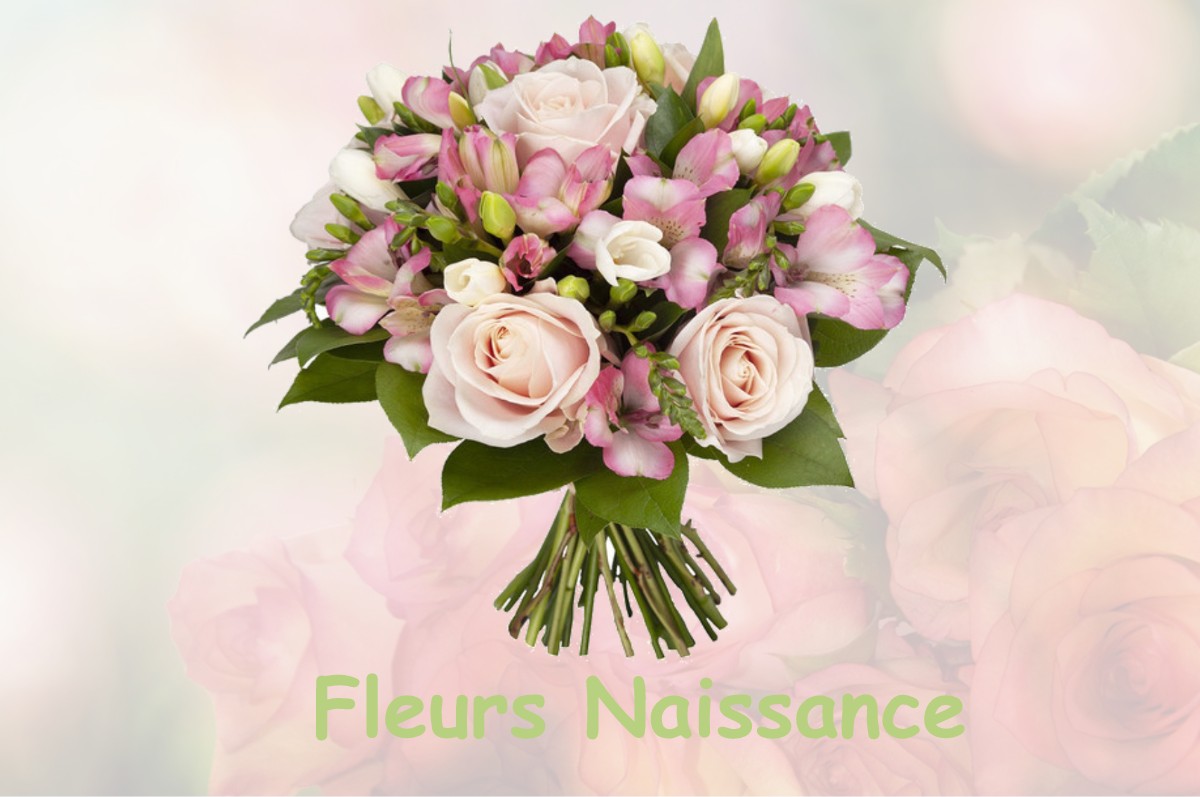 fleurs naissance HANNONVILLE-SOUS-LES-COTES