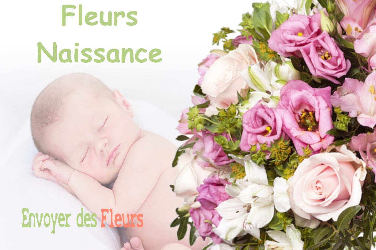 lIVRAISON FLEURS NAISSANCE à HANNONVILLE-SOUS-LES-COTES